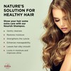 Earthly Body MKS-ECO Nourish Daily Shampoo Original Scent 25 fl