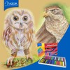 Azor Gises Pastel 36 Piezas,Pigmentos de Alta Calidad Para Dibujo