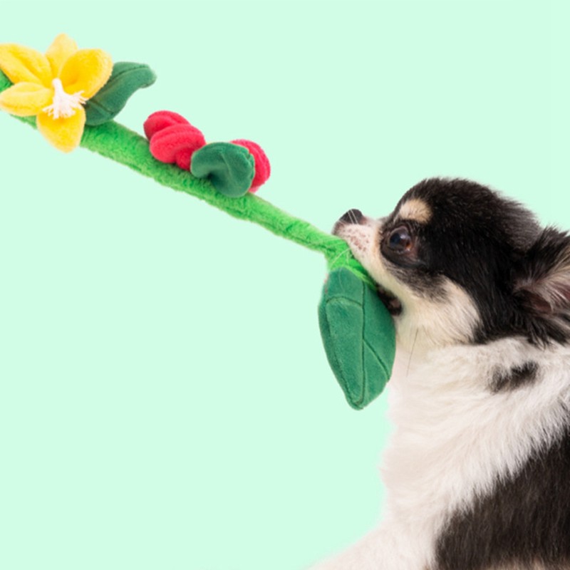 Tug of War Dog Toy Interactive Colorful with Sound Beautiful