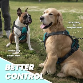 VIVAGLORY Easefit No Pull Dog Harness with Handle & Front Clip, No Pull & Heavy Duty for Puppy Pet, Dog Harness for Training & Walking, XS, Peacock Green