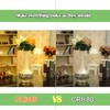ZSSXOLED G8 LED Bulb Dimmable 7W Equivalent to G8 Halogen