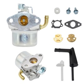 798653 Carburetor Briggs Stratton 696981 698860 694508 795069 698859 790180 790290 693865 697354 791991 698810 698857 Carb 5.5HP 214731 110432 110492 110412 111432 120202 120212 121212 121232 Engine