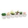 6PCS Potted Artificial Succulents Artificial Plants in Pots Plastic Fake