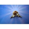 Jim Clift Design Angel Wings Gold Lapel Pin - 1
