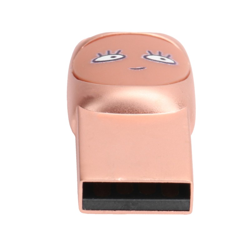 Flash Disk USB2.0 Interface Plugin Free Drive Cartoon U Disk