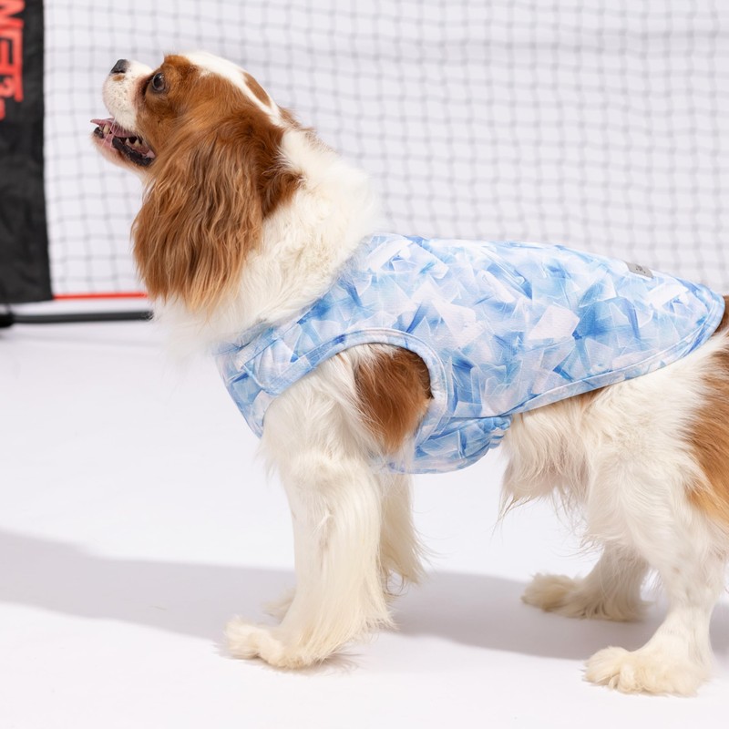 Fitwarm Ice Print Dog Cooling Vest, Summer Clothes for Small