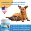 Stud Dog Breeding Supplement – Promotes Sperm Quality, Count &