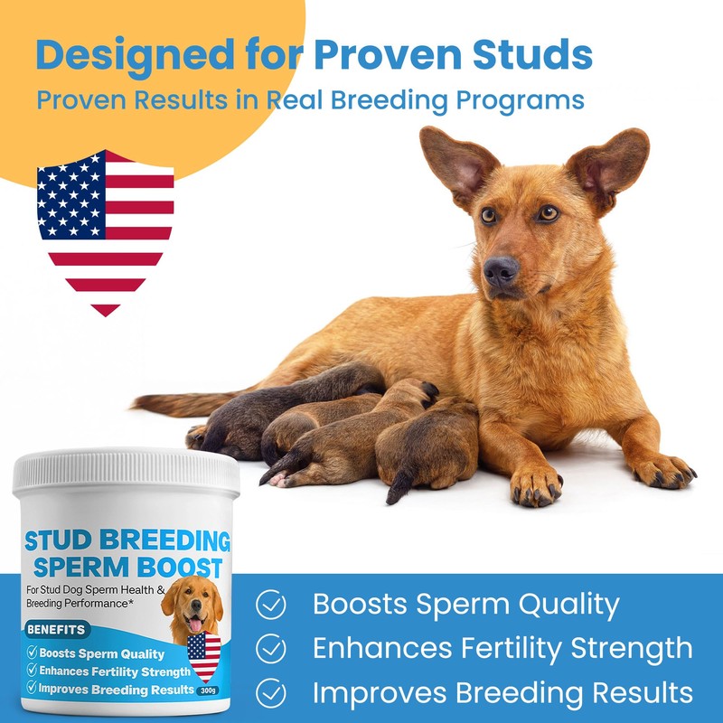 Stud Dog Breeding Supplement – Promotes Sperm Quality, Count &
