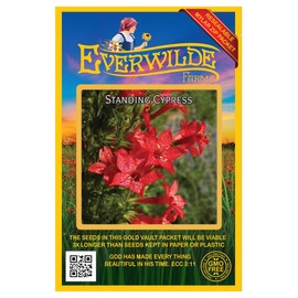 Everwilde Farms - 1200 Standing Cypress Native Wildflower Seeds - Gold Vault Jumbo Seed Packet