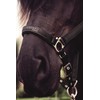 CATAGO 3D-tech Series Full Headcollar Small Black