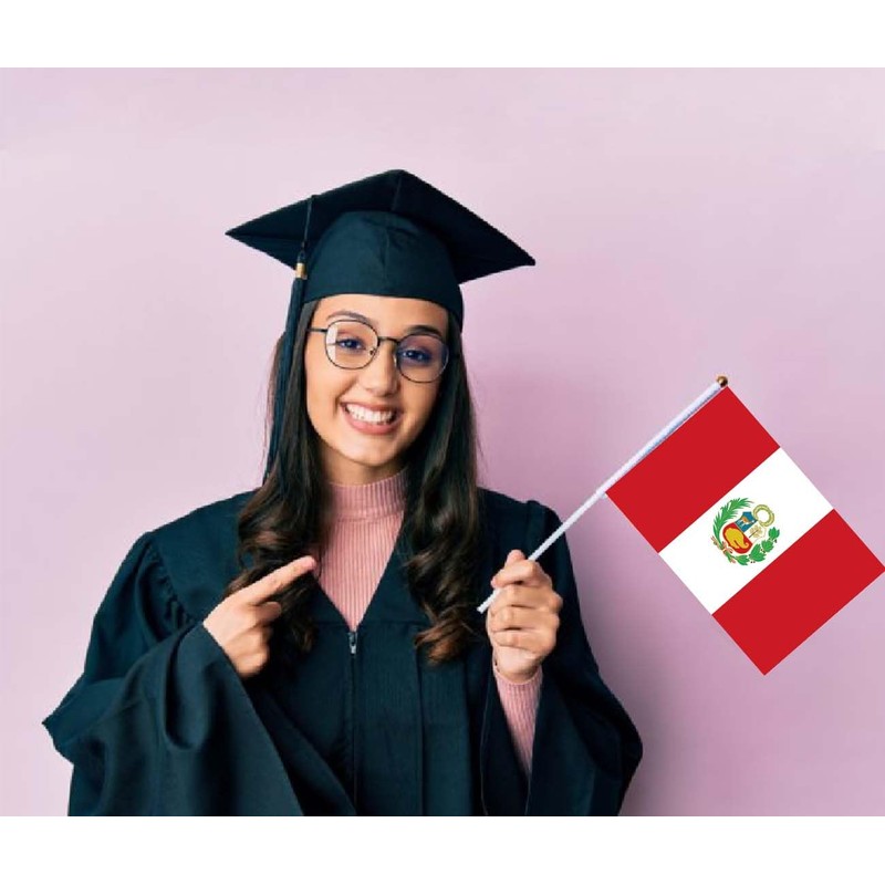 10 PCS Peru Handheld Small Flag, Peruvians Hand held Mini