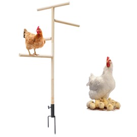 Extra Large Chicken Perch Toys, Wooden Chick Perch Stand with Metal Ground Plug, Outdoor Birds Training Platform, Chicken Coop Accessories, Suitable for Poultry Rooster Chicks Large Bird Chicks Parrot