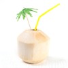 Framendino, 40 Pack Tropical Coconut Palm Tree Toothpicks Green Paper