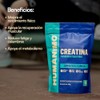 Creatina Monohidratada Alta Pureza Pre Workout Alto Rendimiento Sabor Contiene