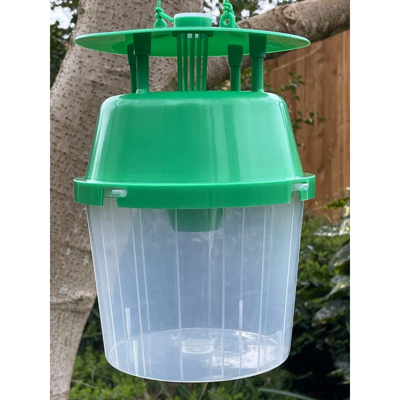 Box Moth Trap - 1 Trap & 4 Pheremone Lures