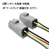4P Hino Isuzu Medium Size Car, Truck, Tail Lamp, Wiring
