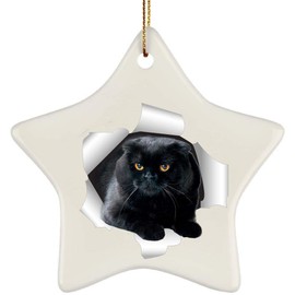 Funny Scottish Fold Cat Black Coming Out of Cracked Wall Gifts 2024 Christmas Tree Ornaments Ceramic Star