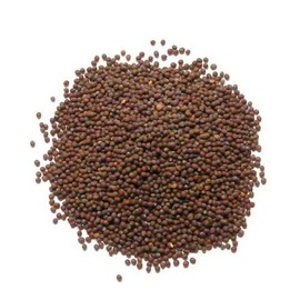 Brown Mustard Seeds (Brown rai)