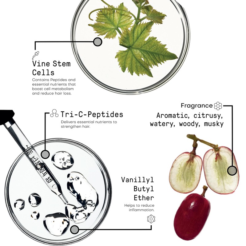 Framesi Morphosis Hair Treatment Line Reinforcing Shampoo 250 ml