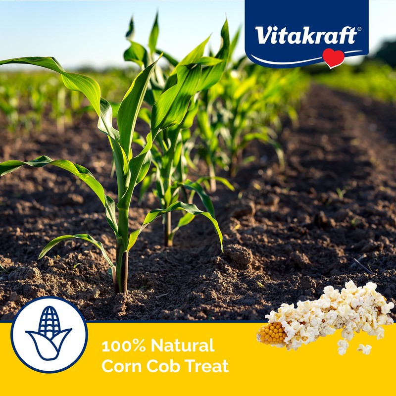 Vitakraft Mini-Pop Corn Cob Bird Treat 6 Ounce (Pack of