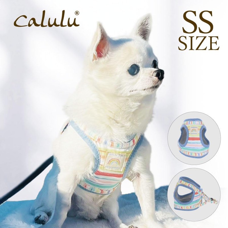 Rainbow Wear Harness | Dog Harness, For Walking, Dog Harness,