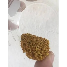 600 Semillas De Chipilin Oferta