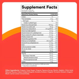 Suplemento Multivitaminico para Nios en Gomitas Smarty Pants Omega 3 (DHAEPA), Vitaminas D3, C, B12, Biotina, B6, Vitamina A, K y Zinc de 60 unidades 