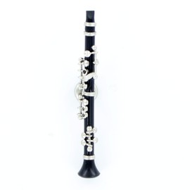 Magnetic Clarinet - Great Gift for Musicians