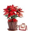 ROBOTIME 3D Puzzle Wooden Poinsettia, Artificial Flower Model Kit for