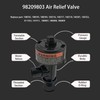 Dicsley 98209800 98209803 Manual Air Relief Valve with Pressure Gauge