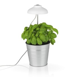 MAXXMEE LED plant light with telescopic rod, optimal light temperature thanks to white and pink LEDs for plant growth, easy attachment, includes 3 clips for fixing, with timer function [white]