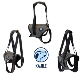 KAJILE Dog Lifting Harness, Dog Support Harness for Hind Limbs and Hips, Pet Recovery Walking Training, Lifting Belt for Elderly Injured Disabled Dogs (Grey, M)