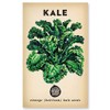 The Little Veggie Patch Co Kale Heirloom Seeds, 1 pack