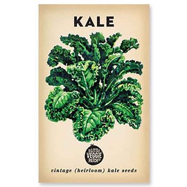 The Little Veggie Patch Co Kale Heirloom Seeds, 1 pack