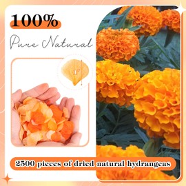 VAIPI 2500 PCS Burnt Orange Hydrangea Petals for Fall Wedding Decor 100% Natural Real Flower Petals for Wedding Aisle Ceremony Romantic Night Engagement Party Flower Girl Baskets Table Centerpiece