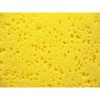 左官 ryqh Sponge Be (Rough Eyes) 250 mm × 165