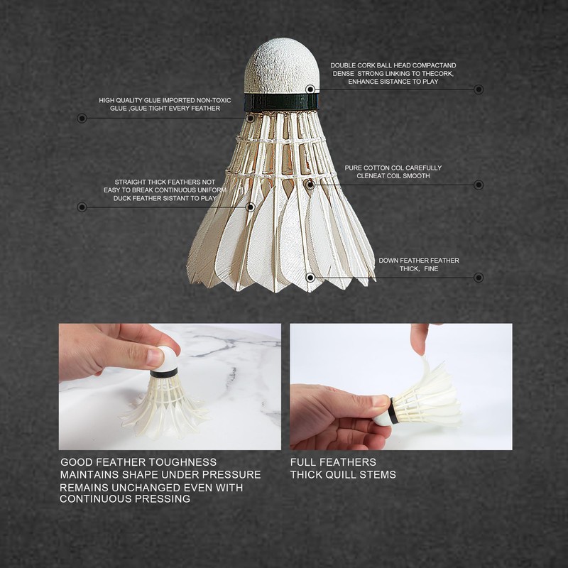 SPPHONEIX 3/6-Pack Mixed Badminton Shuttlecocks – Durable Birdies for Training