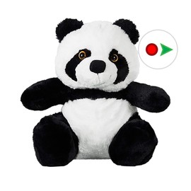 Record Your Own Plush 8 Inch Pan the Panda - Ready 2 Love in a Few Easy Steps