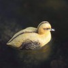 Oase 36863 Pond Figure Duckling Pond Decoration Animal Nature Yellow