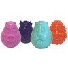 PetSport 4" Mojo Friends Dog Treat Ball Chew Toy -