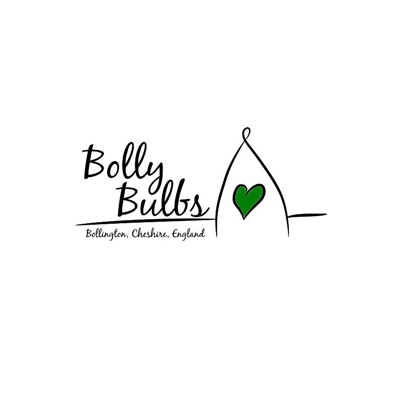 Bolly Bulbs® - The Sutton - Autumn or Spring Planting