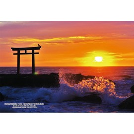 Cuties 300-441 Jigsaw Puzzle, 300-Piece Jigsaw Puzzle, Japanese Cities 85, Higashiiibaraki District, Oarai, Sunshine Illuminated by the Sun, 10.2 x 15.0 inches (26 x 38 cm), 300-441 with Glue