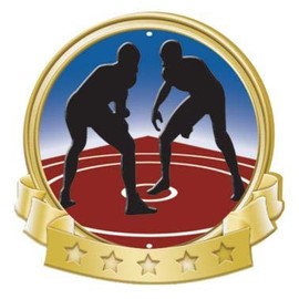 Crown Awards Wrestling Banner Pin, Gold Wrestling Pins, 1 Pack