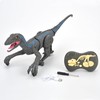 R/C Dinosaur Velociraptor Toy with 3D Eye Light, Roaring &