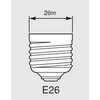 Toyo Lighting & Technology General Incandescent Bulb (Frost) 100 W
