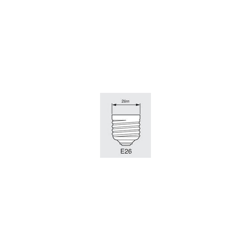 Toyo Lighting & Technology General Incandescent Bulb (Frost) 100 W