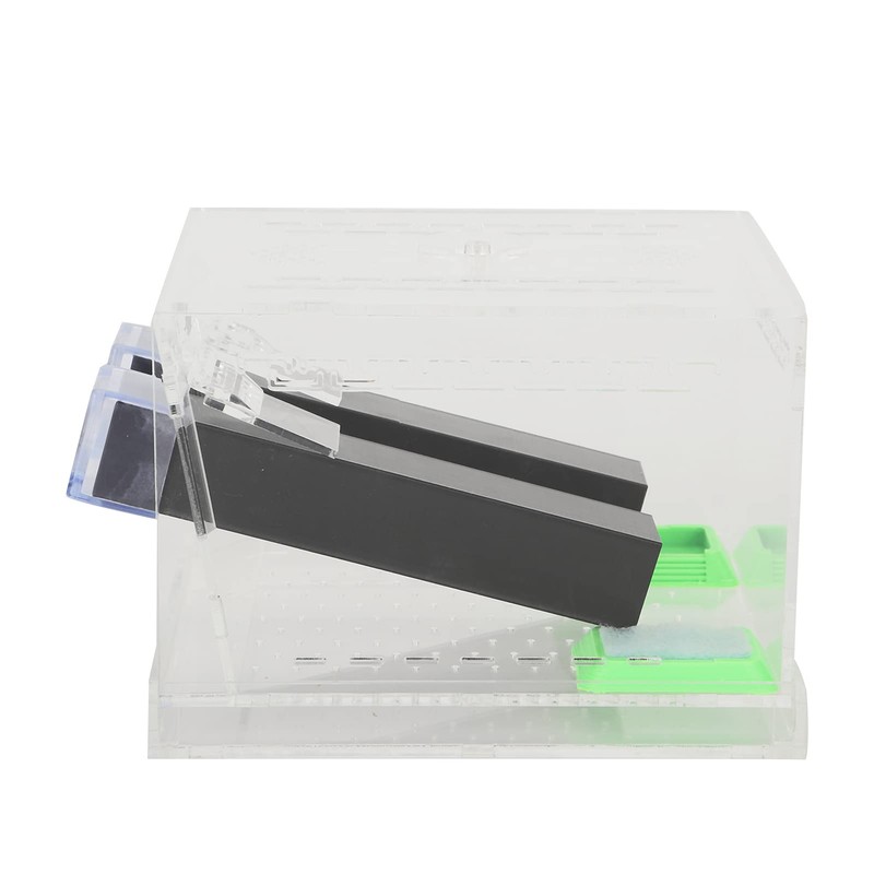Acrylic Cricket Keeper with Tubes Care Kit for Reptile Tank