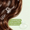 Shampoo Capilar De Limón 500ml