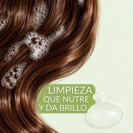 Shampoo Capilar De Limón 500ml