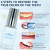 Celsky Paint, Celsky Smile Tooth Paint, Natural Teeth Paint, Instant